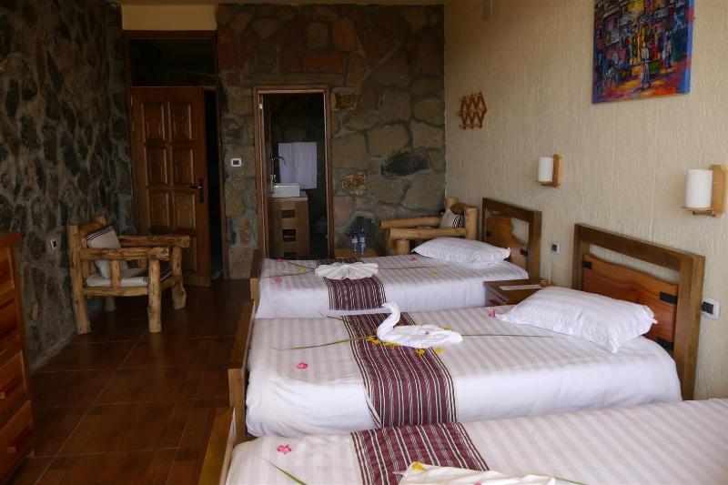 Sora Lodge Lalibela image