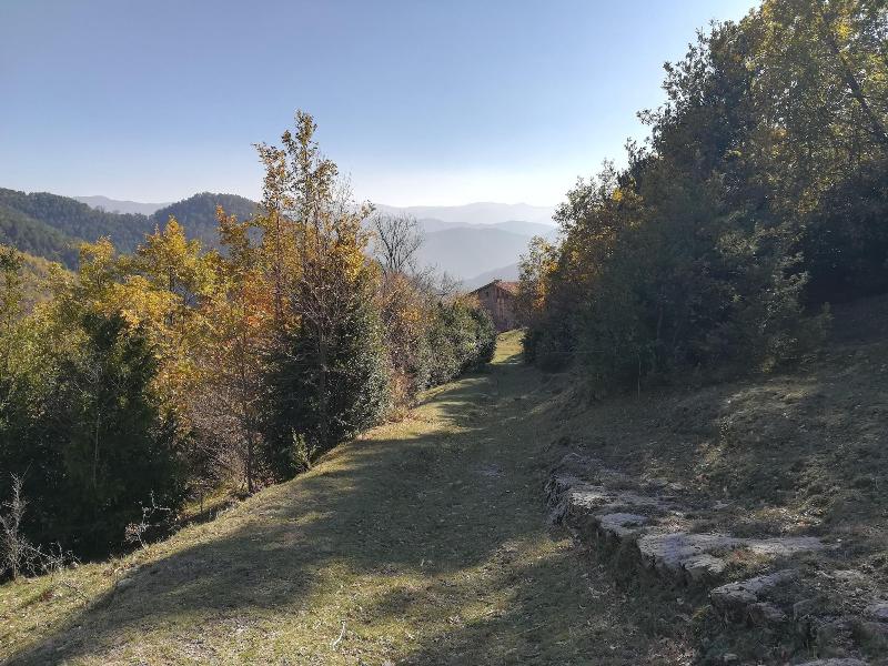 Alberg Rural El Negre image