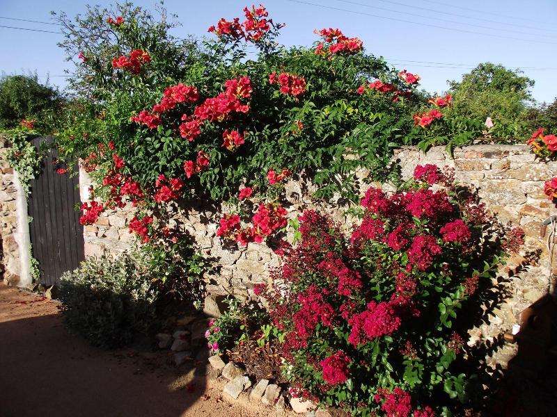 Les Belles Époques B&B image