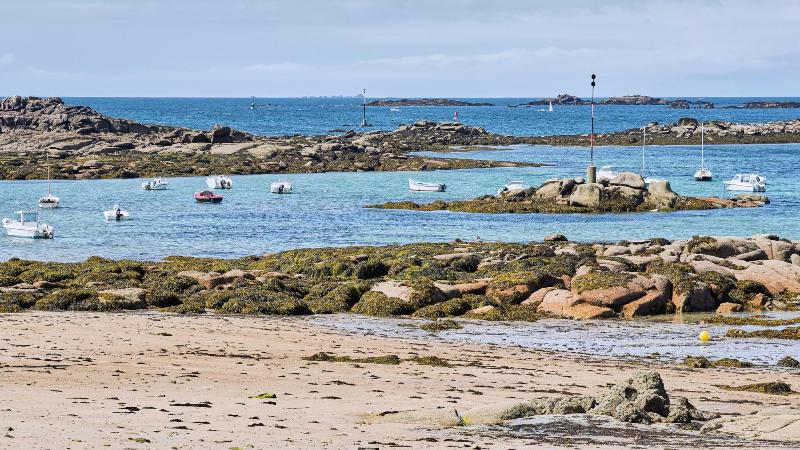 Pavillon De La Plage image