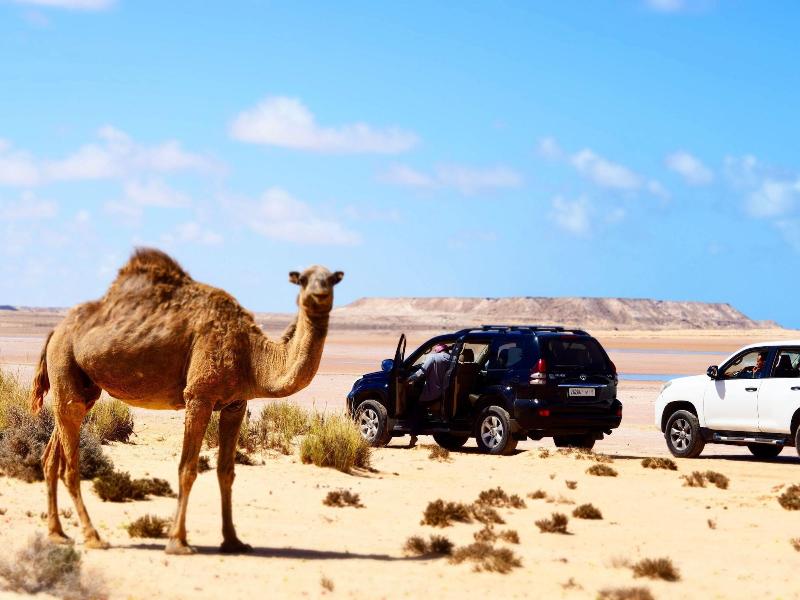 Dakhla Camp image