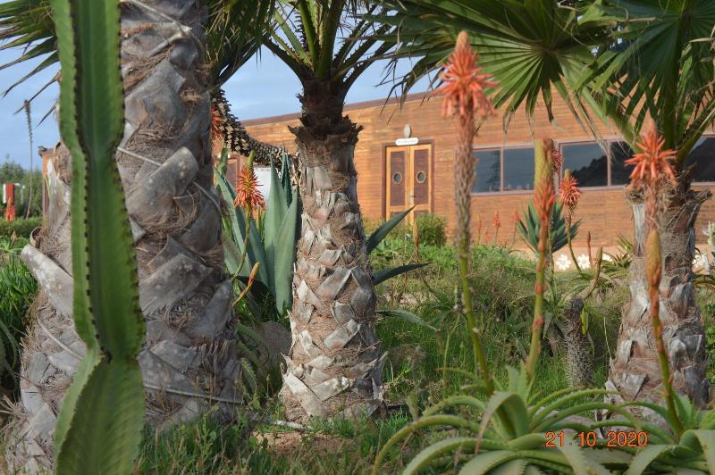Dakhla Kitesurf world image