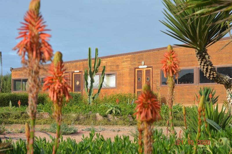 Dakhla Kitesurf world image