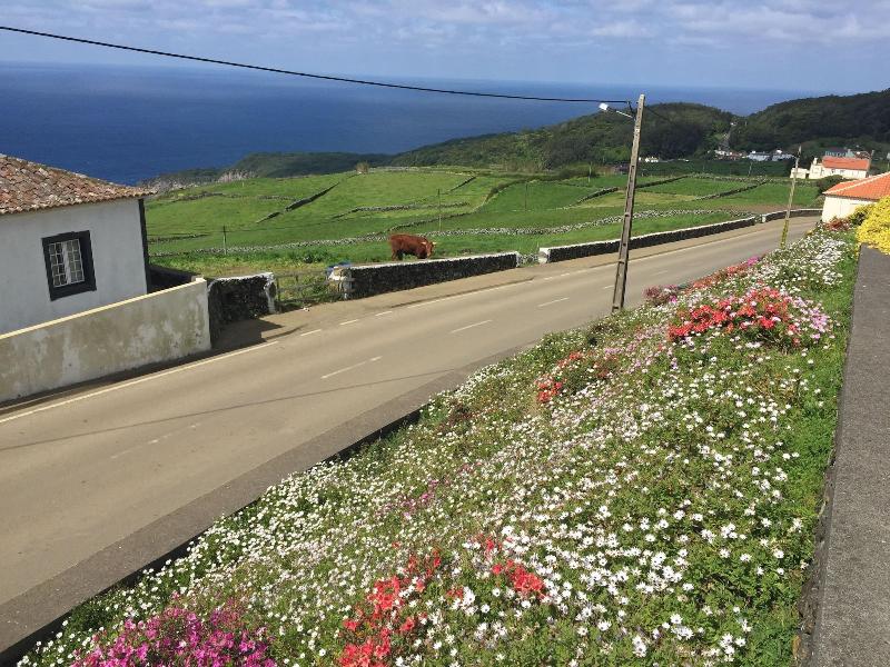 Serreta Island Home Al image