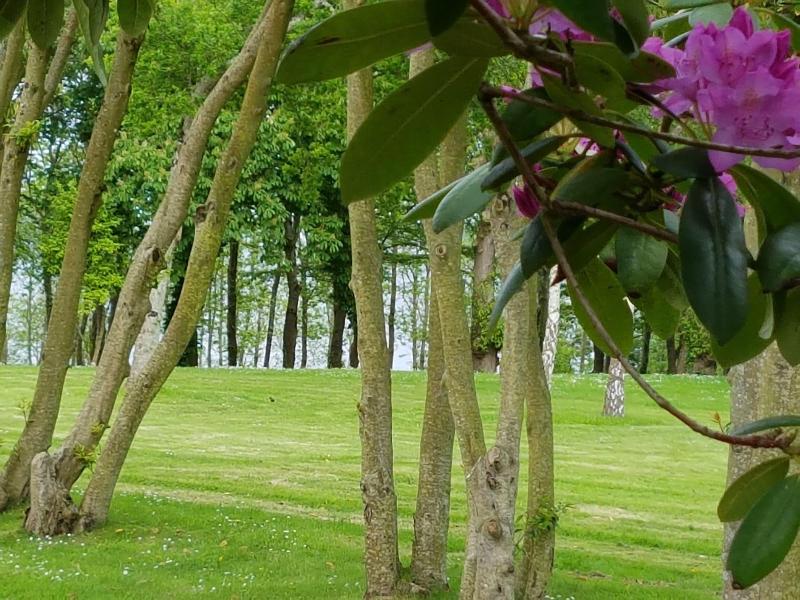 Manoir de Kergrec'h image