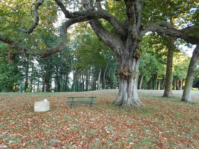 Manoir de Kergrec'h image