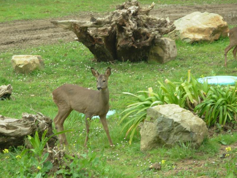 Manoir de Kergrec'h image