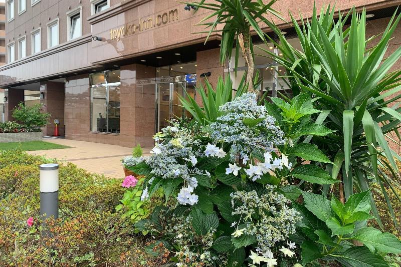 Toyoko Inn Tsukuba Express Kenkyu-gakuen-eki Kita- image