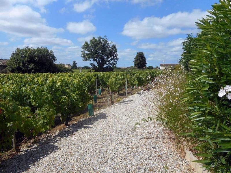 Château Papounan image