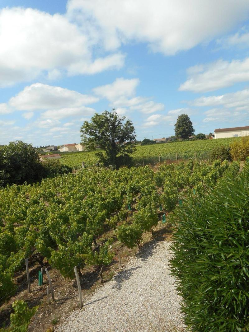 Château Papounan image