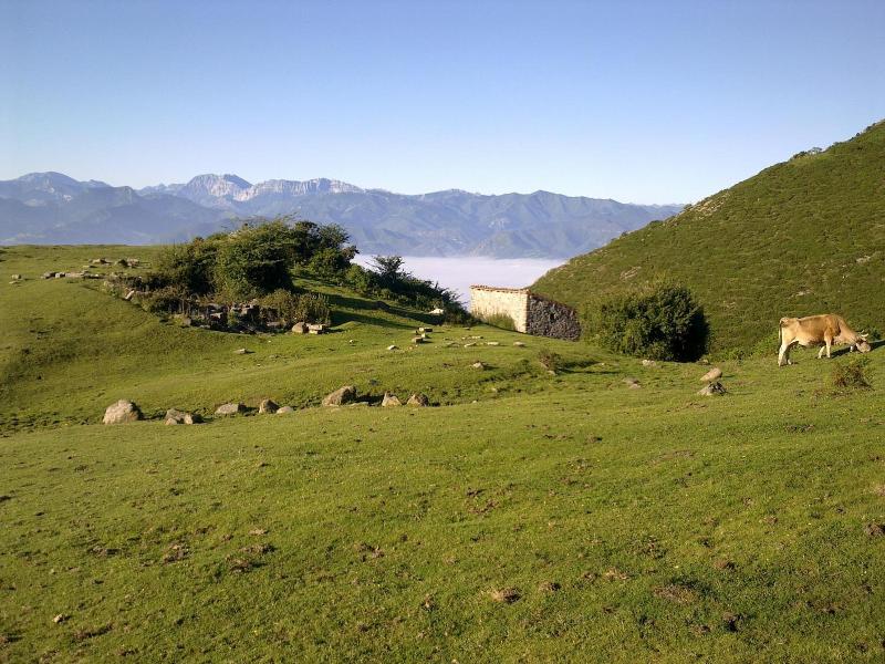 Casa Rural El Sumiciu image