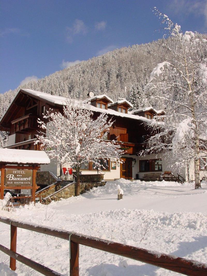 Hotel Biancaneve image