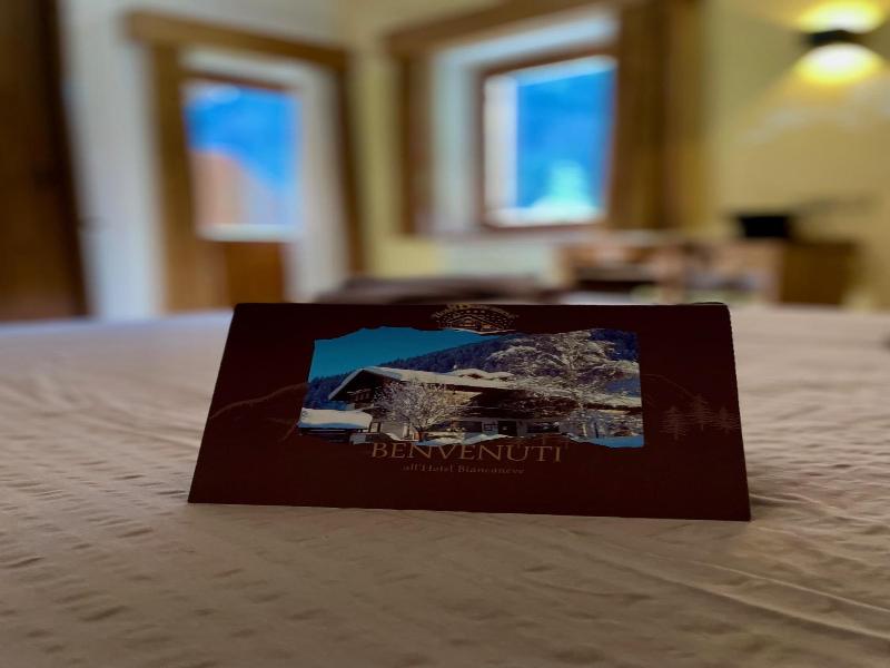 Hotel Biancaneve image