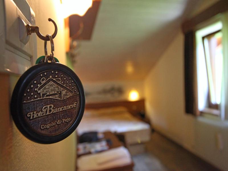Hotel Biancaneve image