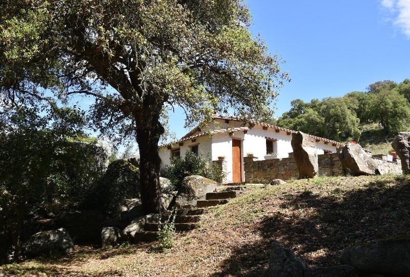 B&B I Menhir — photo 3