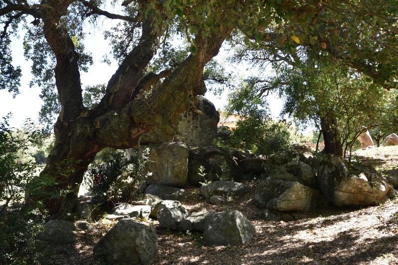 B&B I Menhir — photo 4