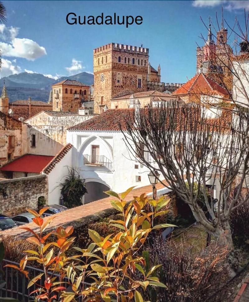Hotel Moya image