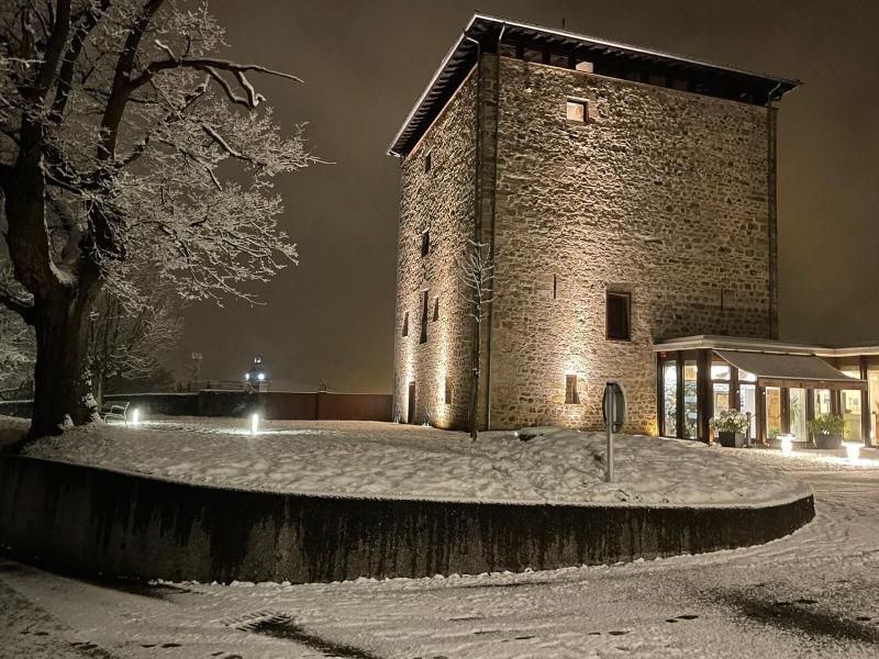 Rusticae Hotel Torre Zumeltzegi image
