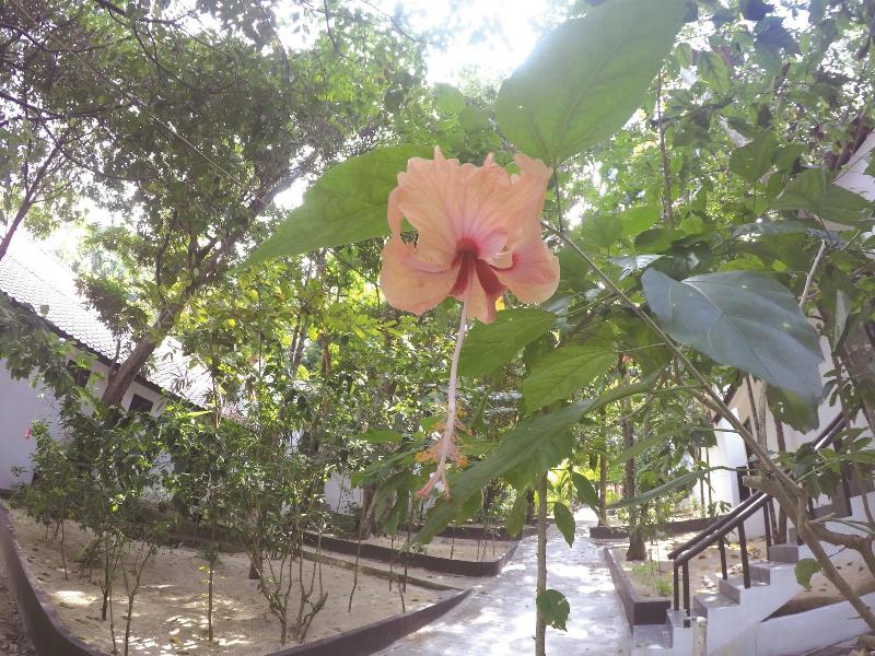 Perhentian Tivoli Inn — general view