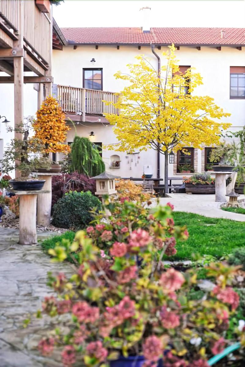 Hotel Bonsai Mikulov image