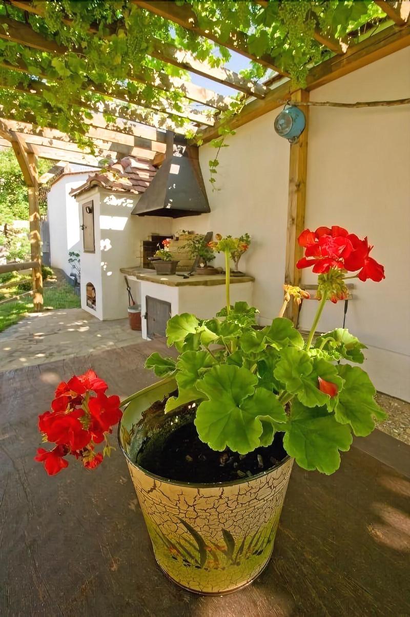 Hotel Bonsai Mikulov image