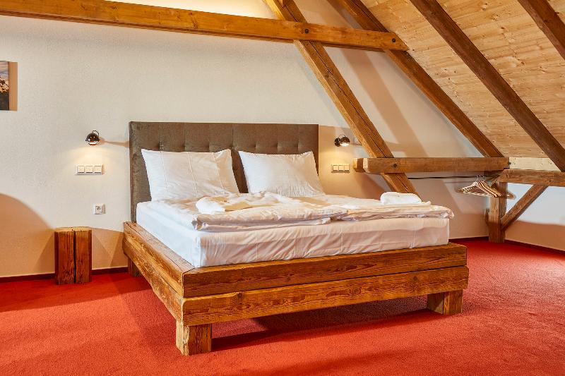 Hotel Ryzlink image