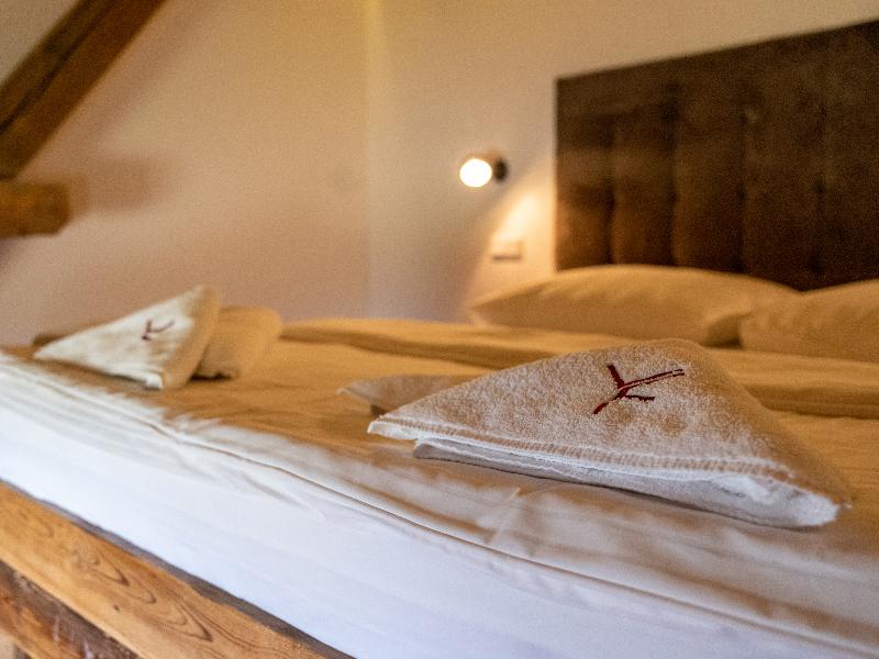 Hotel Ryzlink image