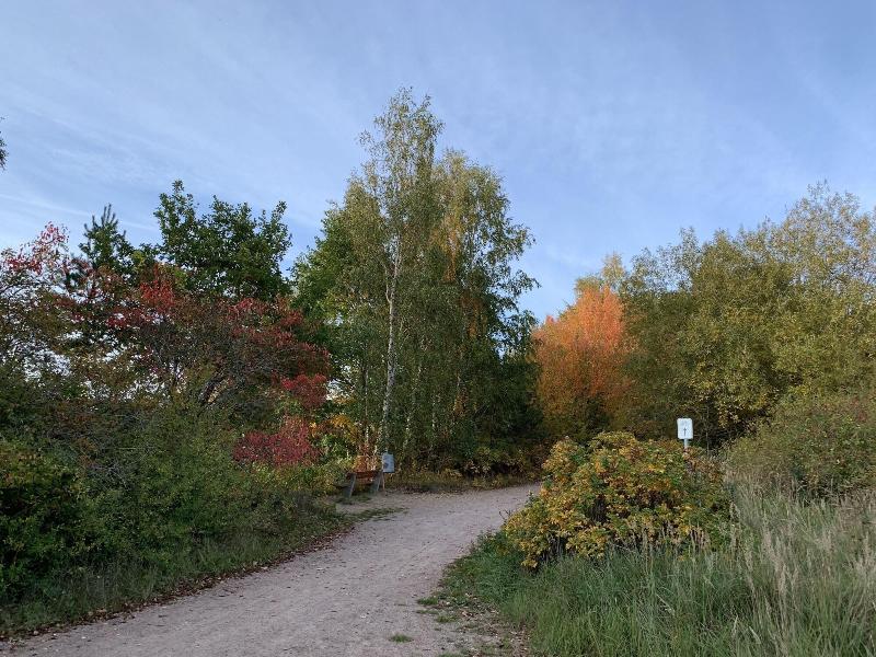 Apartment Sonnenaufgang image