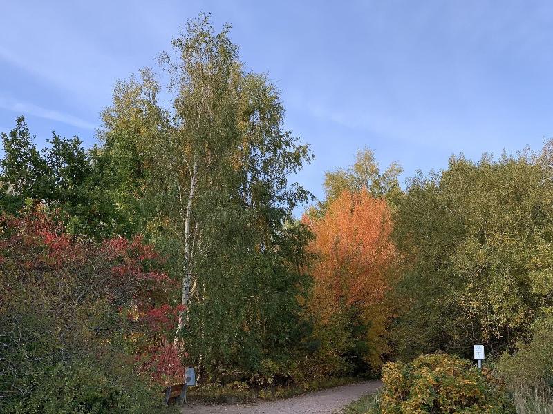 Apartment Sonnenaufgang image