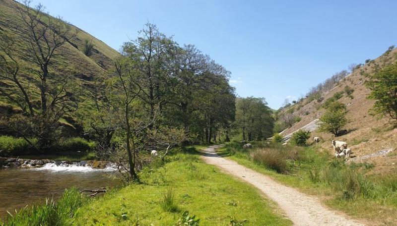 Lyndene image