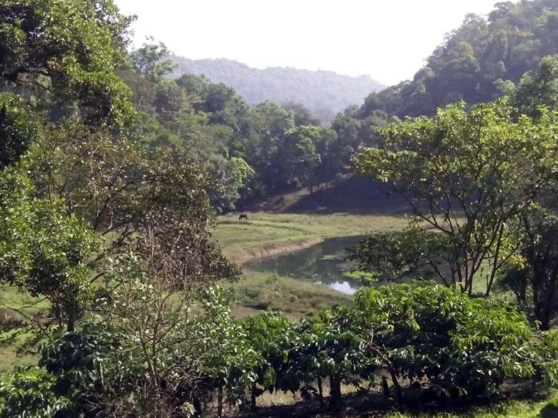 Three Hills Coorg image