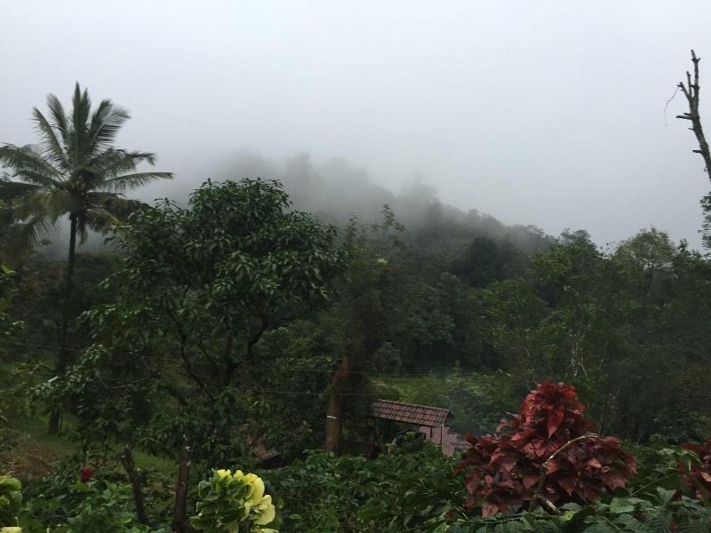 Three Hills Coorg image