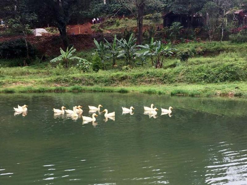 Three Hills Coorg image