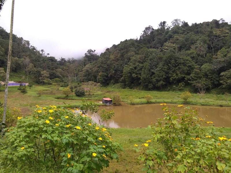 Three Hills Coorg image