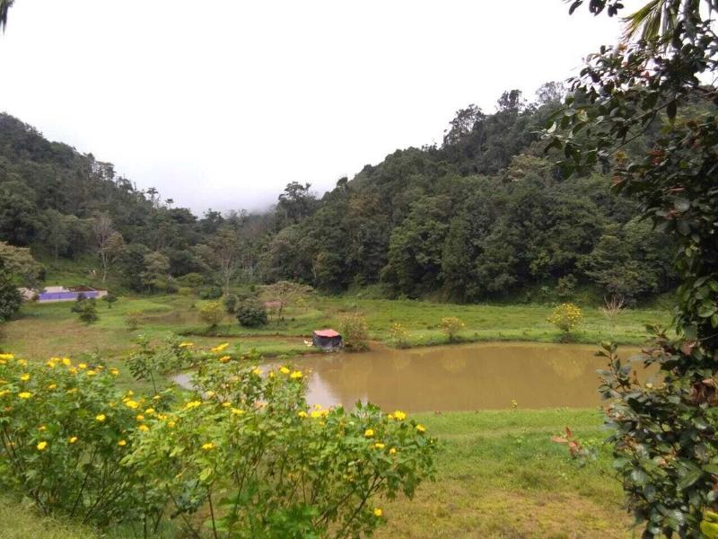 Three Hills Coorg image