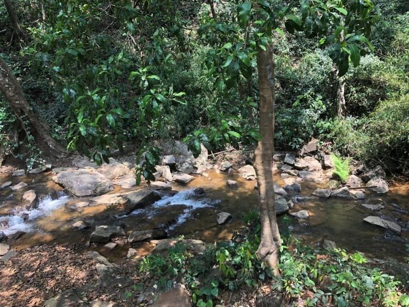 Three Hills Coorg image