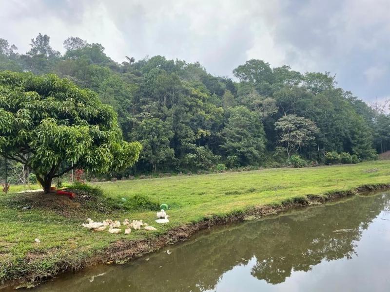 Three Hills Coorg image