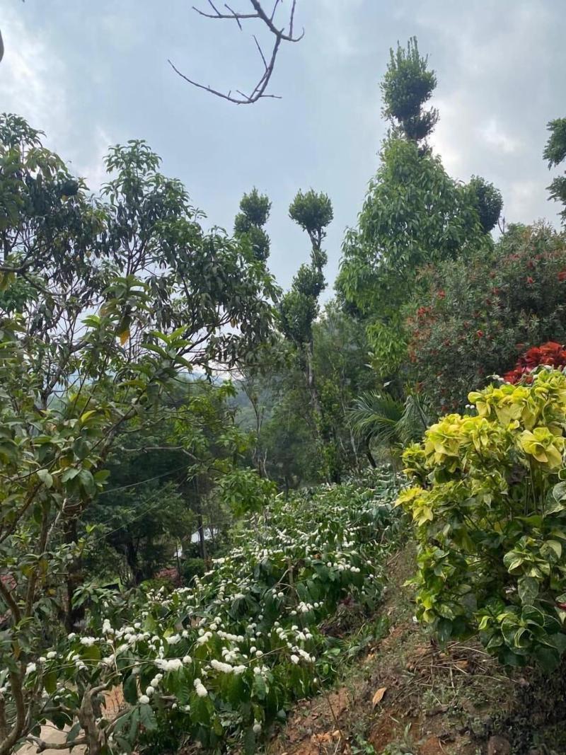 Three Hills Coorg image