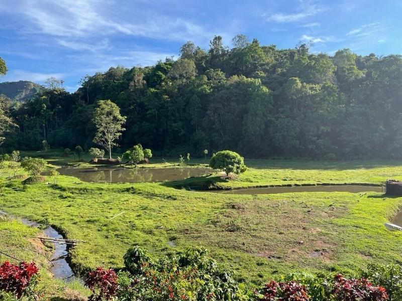 Three Hills Coorg image