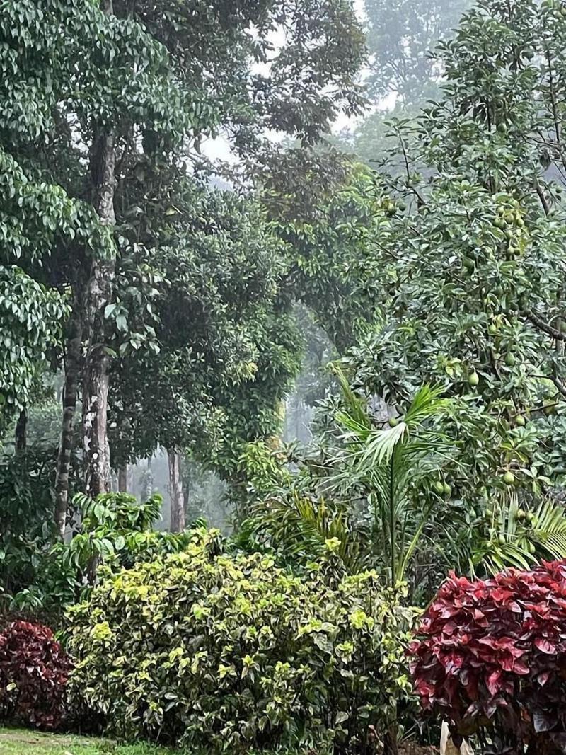 Three Hills Coorg image