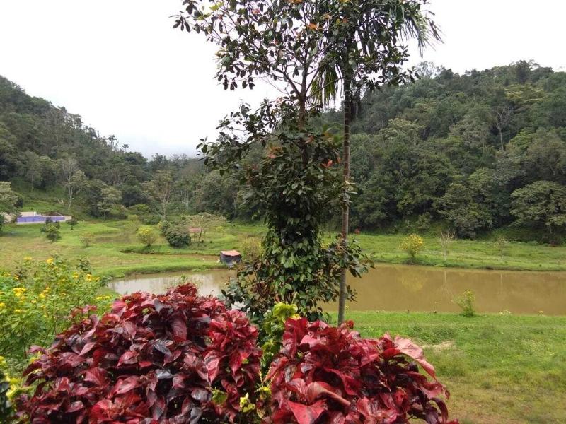 Three Hills Coorg image
