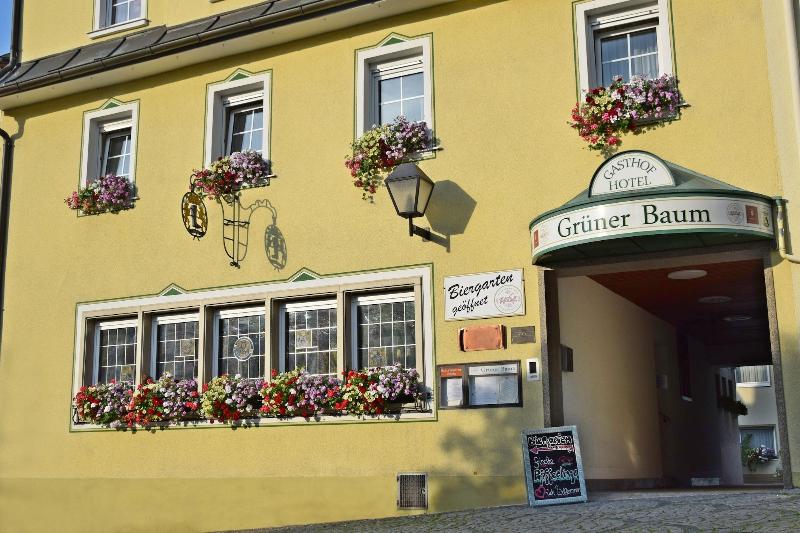 Hotel & Gasthof Grüner Baum image