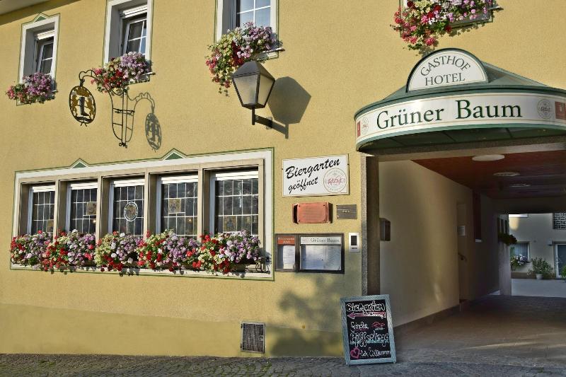 Hotel & Gasthof Grüner Baum image