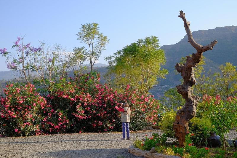 Mezena Resort And Spa image