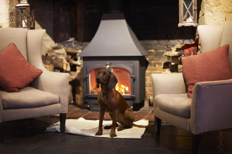 The Manor Arms Inn image