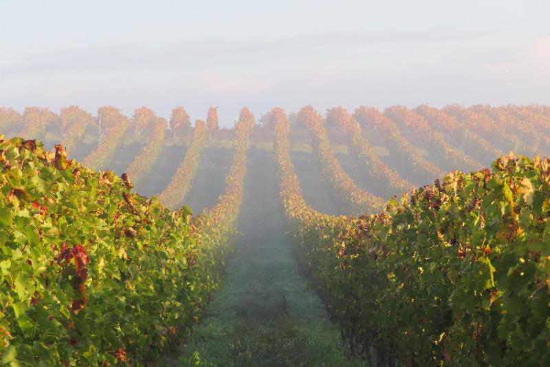 Château Pierre de Montignac image