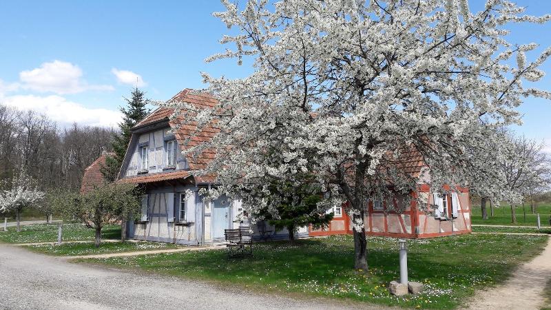 Les Loges de l'Ecomusée D'Alsace image
