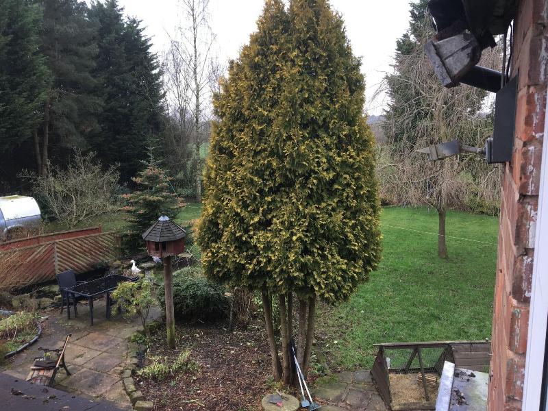 Laburnum Cottage Guest House image