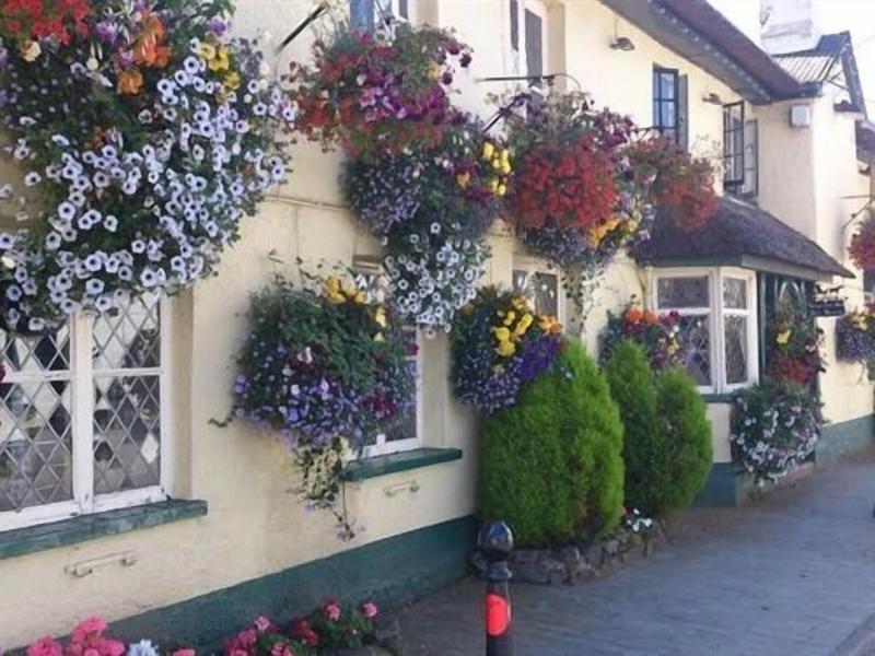 Kings Arms Inn image