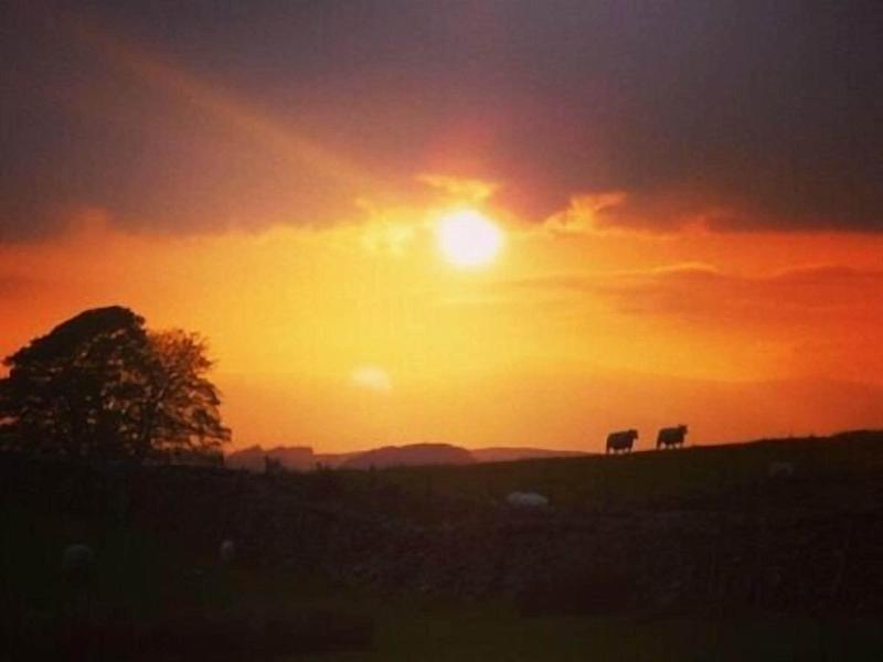 Llwyn Onn Guest House image